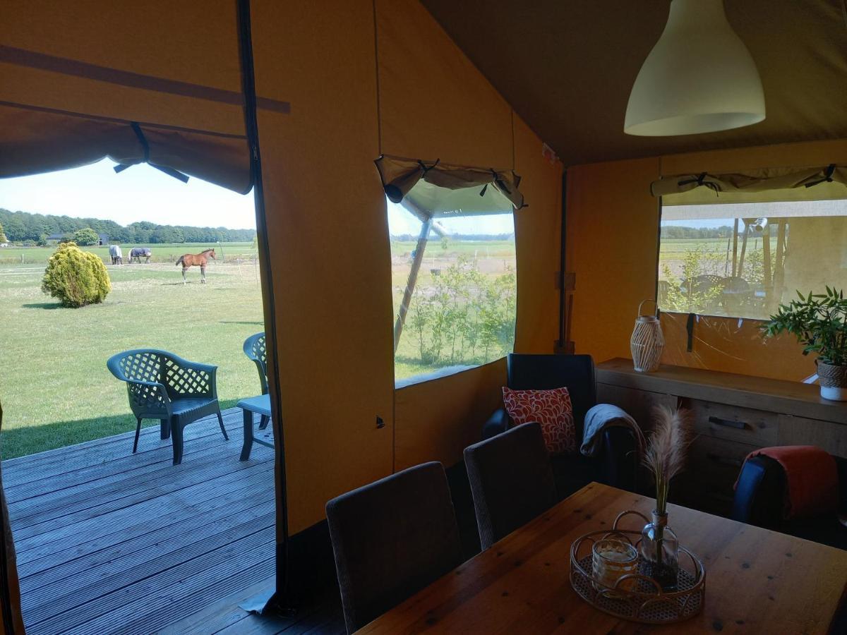 Comfort Safaritent 6 Pers En Mini Camping Zwiggelte エクステリア 写真